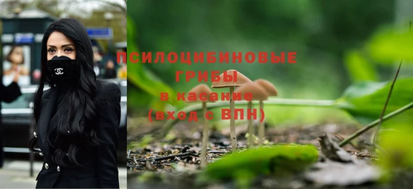 прущие грибы Алексин