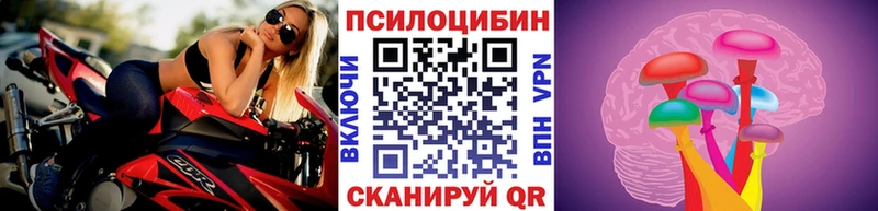 где можно купить Рубцовск KRAKEN ТОР Псилоцибиновые грибы мухоморы